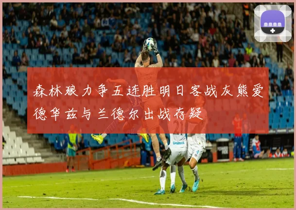 森林狼力争五连胜明日客战灰熊爱德华兹与兰德尔出战存疑