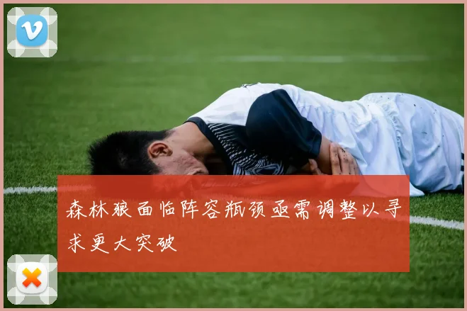 森林狼面临阵容瓶颈亟需调整以寻求更大突破