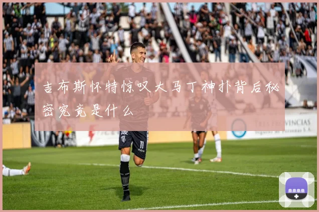吉布斯怀特惊叹大马丁神扑背后秘密究竟是什么